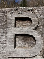 B