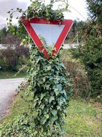 I