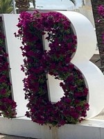 B